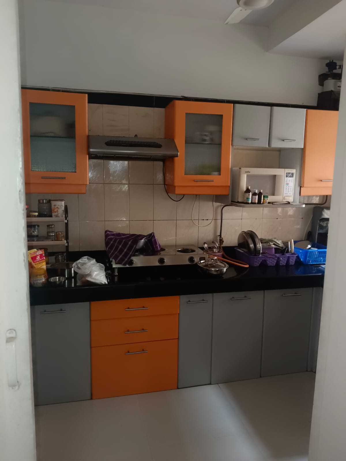 1 BHK Flat for rent in Raheja Vihar Chandivali